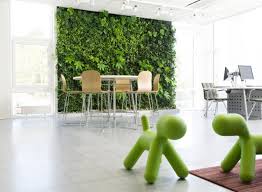 interior plant