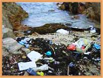 coastal pollution