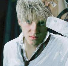 draco harry potter