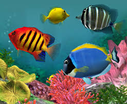 ecran de veille aquarium