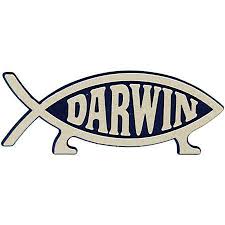 darwin fish sticker
