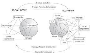 social systems