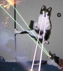 cat lasers