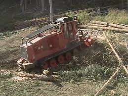 vegetation management