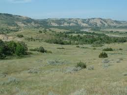prairie grasslands