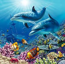 colorful fish