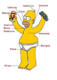homero simpsom