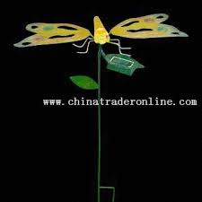 dragonfly light
