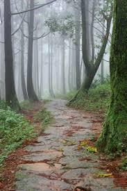 mist wood