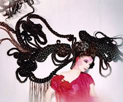 bjork poster