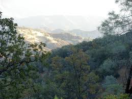 cucas redlands ca