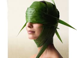 aveda skin