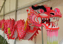 chinese new years dragon