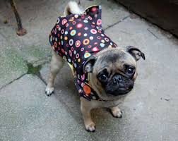 dog umbrellas
