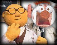 dr. bunsen honeydew and beaker