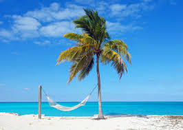 holiday photos