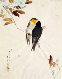 watercolor birds