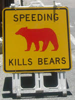 bears sign