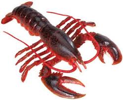 toy lobster