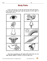 printable deer vitals target arrow