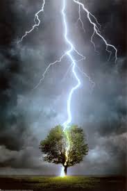 lightning striking a tree