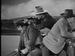 stagecoach wayne