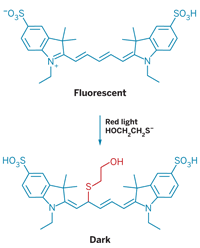 cyanine dyes