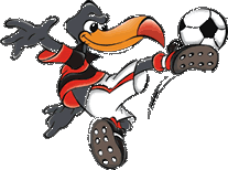 urubu flamengo