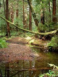 patterson california land