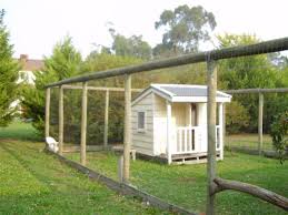 outdoor cat fence