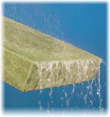 absorb water