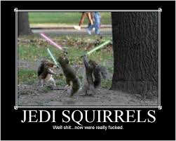 star wars squirrels