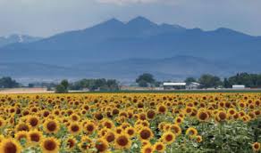 colorado high roads