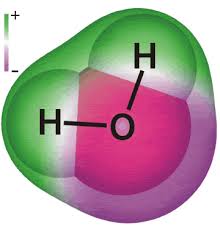 water molecule structure