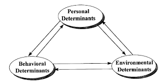 social cognition