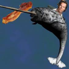 The Narwhal Bacons at Midnight