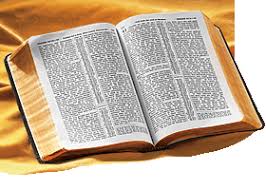 bible new world translation