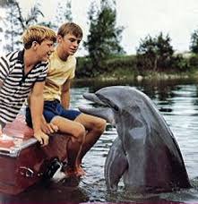 flipper television show