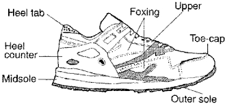 shoe training