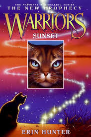warriors sunset