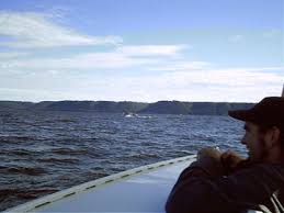 wood power boats
