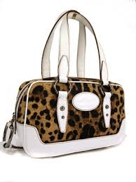 dolce gabbana leopard