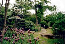 japanese garden photos