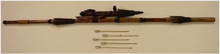 blow dart gun