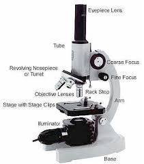 the microscope