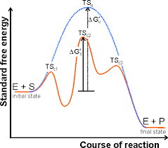 energy profile