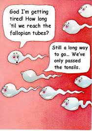 funny cartoon pics