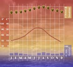 Phoenix Climate