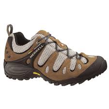 chameleon shoes
