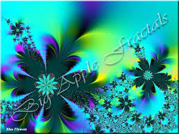 blue flowers